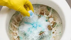 Toaleta sa očistí od močových kameňov za hodinu: rýchly spôsob s tabletami z umývačky riadu