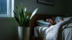 Tri izbové rastliny do spálne, ktoré môžu zlepšiť spánok a vyčistiť vzduch