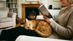 Tieto 4 typy ľudí mačky uznávajú za svojich. Ostatní sú len obslužný personál.