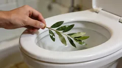 Prečo skúsené gazdinky vkladajú bobkový list do záchoda na celý deň: zaujímavý lifehack, o ktorom málokto vie