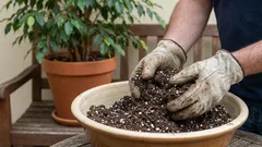 Prečo nevyhadzujem starú zeminu z kvetináčov